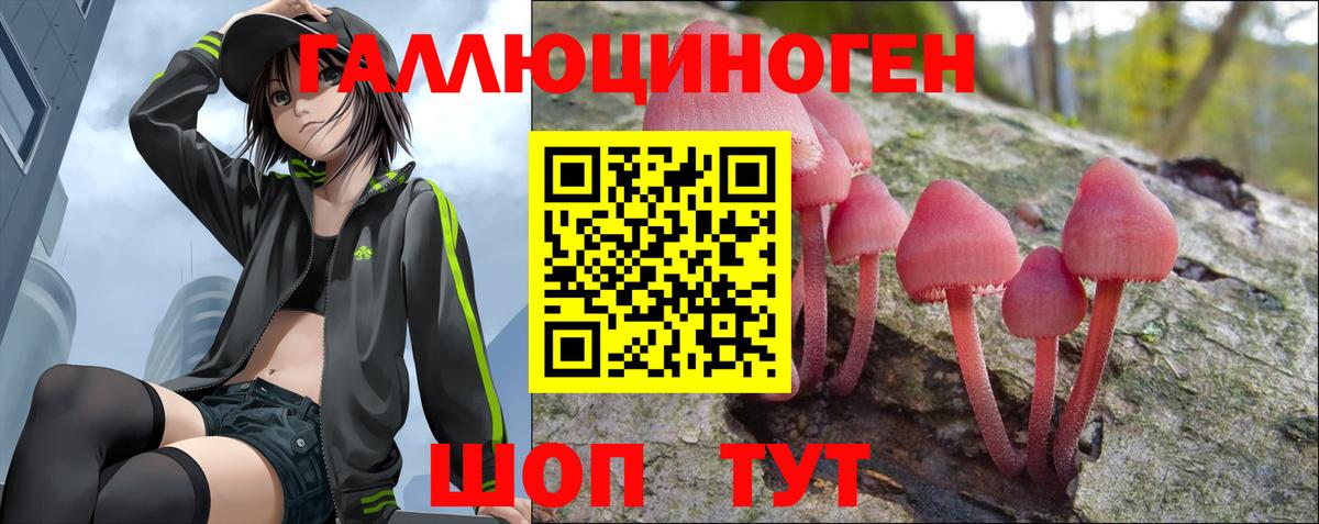 Псилоцибиновые грибы Psilocybe  Вход с VPN  Псилоцибиновые грибы мицелий  Дербент 