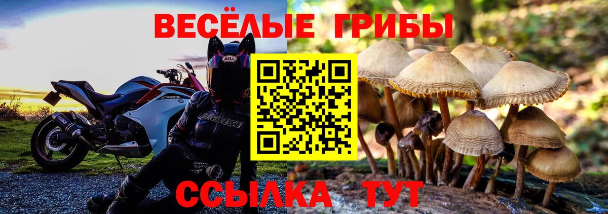 Псилоцибиновые грибы мицелий Дербент